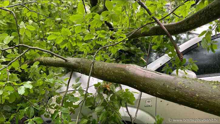 Flevoland - Code oranje in Flevoland. Dit betekenen de waarschuwingen van het KNMI