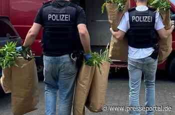 POL-REK: 240709-3: Cannabispflanzen und Pilze sichergestellt