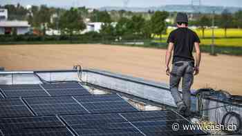 China will Solar-Überproduktion bremsen