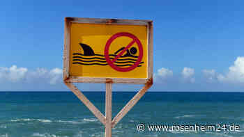 Hai beißt Surfer und bekannten Schauspieler (†49) tot – Fischer schwer verletzt