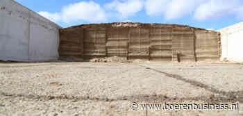 Groeiende zorgen over beschikbaarheid snijmaïs