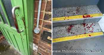 Barnfield Road Greenwich stabbing: Council issues statement