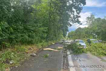 Halle deelt in brokken tijdens hevig onweer: brandweer verwerkt honderden oproepen