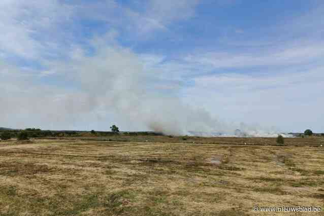 Brand op schietterrein in Leopoldsburg zorgt voor geurhinder