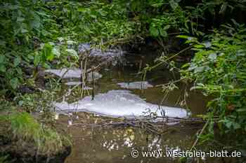 Schaum dämmt Rauchgas bei Großbrand ein