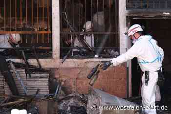 Abgefackelte Stevia-Bar: Was haben die Ermittler im Tresor entdeckt?
