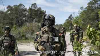 Nato im Krisenmodus: Der Gipfel der Zögerlichkeit