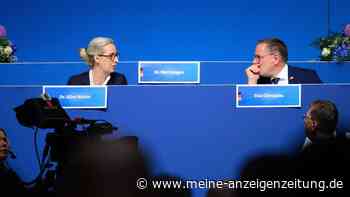 AfD findet Partner für Rechtsfraktion im EU-Parlament