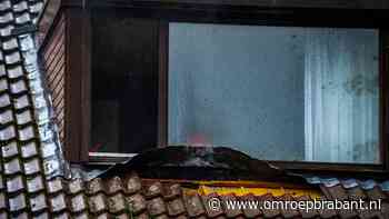 Code oranje: brand na blikseminslag • bomen omgewaaid en straten