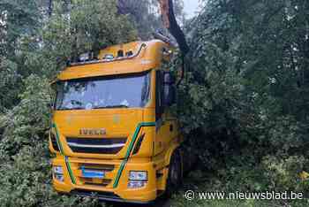 Bomen knakken als lucifers