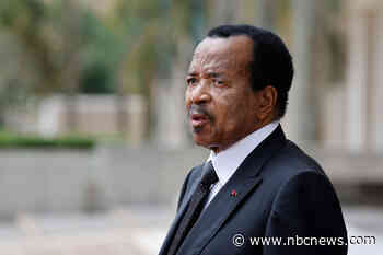 Daughter of Cameroon's president hopes to help the country's gays by coming out