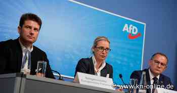 EU-Parlament: AfD wird am Mittwoch rechtsextreme Fraktion gründen – ohne Krah