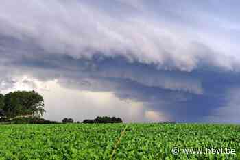 Limburg blijft gespaard van zwaar noodweer: “Door het oog van de naald gekropen”