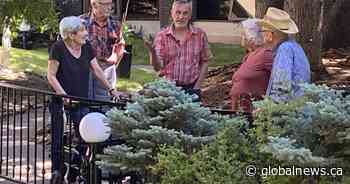 ‘Absolutely fascinating’: beekeeper rounds up uninvited guests at Calgary care home