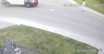 Edmonton police shooting of Matthew Arkangelo criticized: ‘Seems like he was just gunned down’