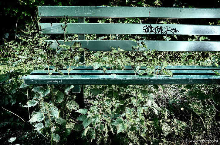 Strafbankje dreigt voor Microsofts reclamebedrijf Xandr