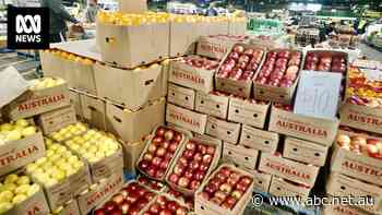 Most people don't know they exist, but co-ops can help you save on groceries compared to major supermarkets