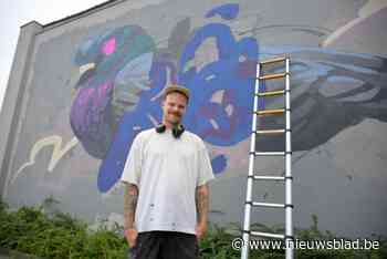 Street Art Antwerp pakt uit met nieuwe muur voor streetart: “Noem het gerust een tegenbeweging”