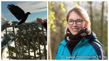 Einblicke in das unbekannte Leben der Bergvögel - und was der Tourismus damit zu tun hat