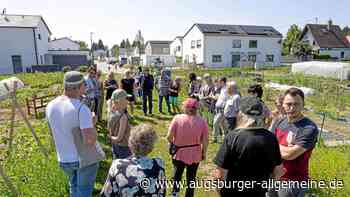 „Große Fassungslosigkeit“: Bürger protestieren gegen Bahntrasse