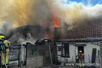 Slapende bewoner (47) kan net op tijd aan zware woningbrand ontkomen: “Blaffende hond heeft zijn leven gered”