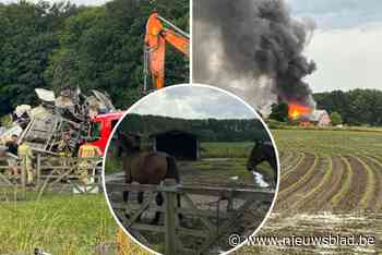 “Dit was ons levenswerk”: stal met drie paarden gaat in vlammen op na blikseminslag in Lippelo