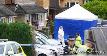 Neighbours 'heard screaming' Bushey triple murder unfolded