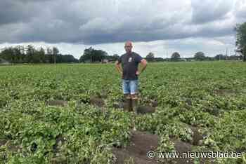 Land- en tuinbouw zwaar geraakt: “Ravage aan aardappelen en pompoenen, en we stonden er zo goed voor dit jaar”