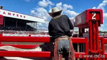 The cowboys in the chutes and a new golden age for Alberta saddle bronc