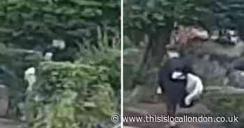 Video may show moment Bushey crossbow killer left scene