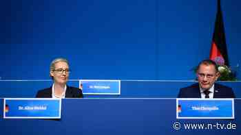 Rassisten und Putin-Freunde: Das sind die neuen AfD-Partner im EU-Parlament