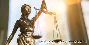 Controlerend accountant mocht aannemer wel degelijk ook adviseren