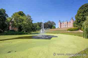 Eendenkroos wordt verwijderd uit kasteelvijver
