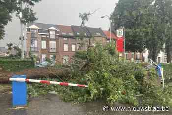 Ook in en rond centrum Mechelen veel schade door storm: “Maar er was nog meer solidariteit”