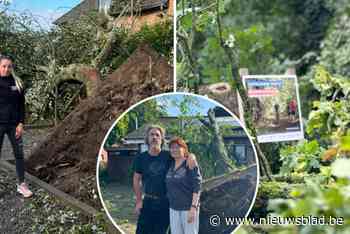“Gelukkig viel de boom op onze steunmuur”: Blaasveld deelt in de klappen bij stormweer