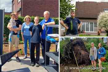 Balans na noodweer in Leest: “50 woningen beschadigd, pylonen als lucifers geknakt, daken vernield door hoogspanningskabels”