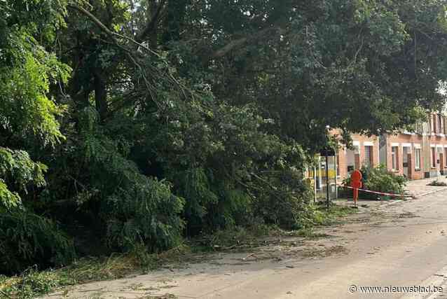 Opruimingswerken Torenvenstraat op donderdag 11 en vrijdag 12 juli