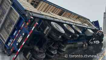 Live chickens, lane closures on Hwy 401 after collision in Milton: police