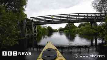 'No swimming' warning as dead swans found in river