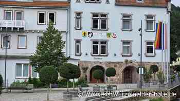 Bad Herrenalber Gemeinderat: Dauern die Sitzungen jetzt noch länger?