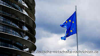 AfD verbündet sich im EU-Parlament: Eigenständige Fraktion am rechten Rand