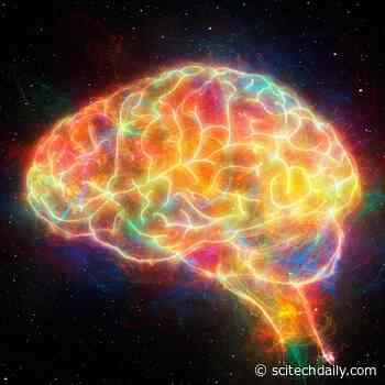 Columbia Researchers Reveal How Our Brains Fuel Curiosity