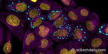 Proteins and Health: Cambridge’s New Atlas Uncovers the Ties That Bind