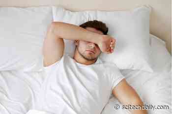 Burning Fat While You Sleep: Scientists Shed New Light on the Metabolic Benefits of Suvorexant
