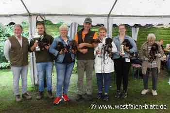 Teckelzuchtschau der DTK Gruppe Delbrücker Land