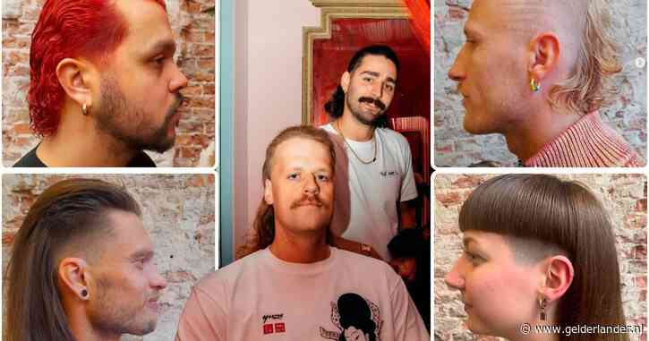 Matjes zoals Joost Klein en Goldband nu ook populair bij studenten: ‘Ze horen een beetje smerig te zijn’