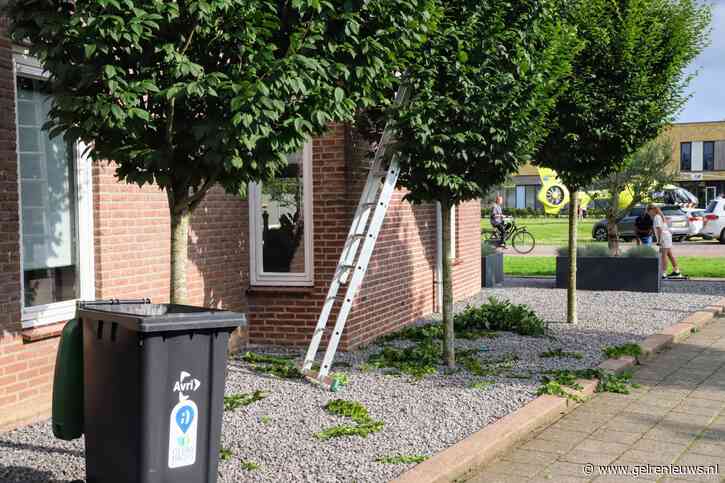 Man valt van ladder tijdens snoeien en raakt zwaar gewond, trauma helikopter geland