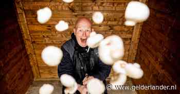 Geen salades of bbq-worstjes, maar champignons en bloemkool: natte zomer maakt dat we anders eten