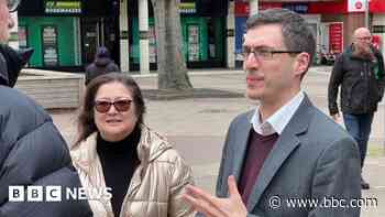 Green Party's new MP calls for pause on pylons