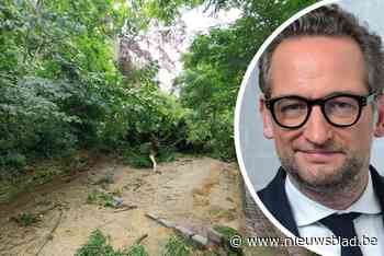 Moeder hield auto staande om baby naar ziekenhuis te brengen na drama tijdens onweer in park